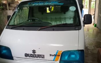 Suzuki Lorry 1999