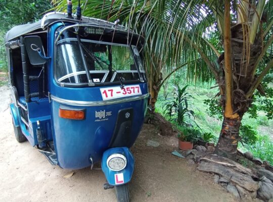 Bajaj Auto