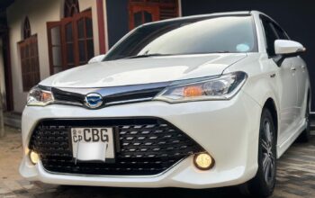 Toyota Axio 2018