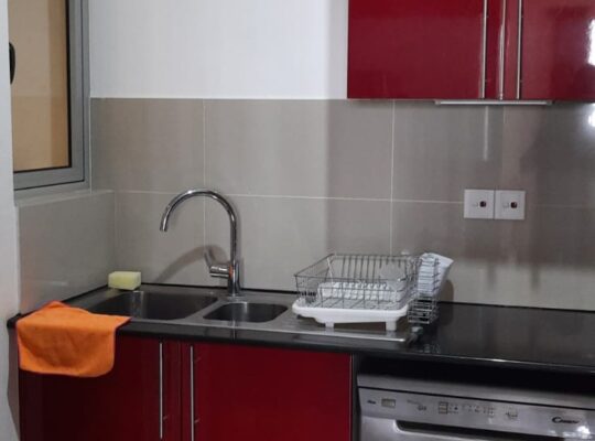 2 BR Furnished apartment for Rent