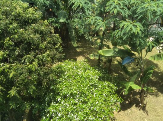 20.5 Perch Land for sale 336 bus route Kottawa