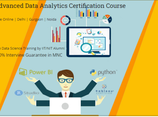 Job Oriented Data Analyst Training Course in Delhi