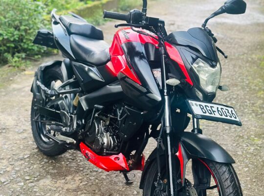 Bajaj Pulsar NS 160 CC