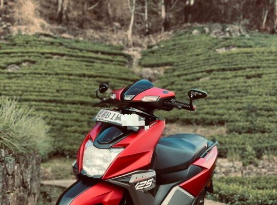 TVS Ntorq 125 CC 2019