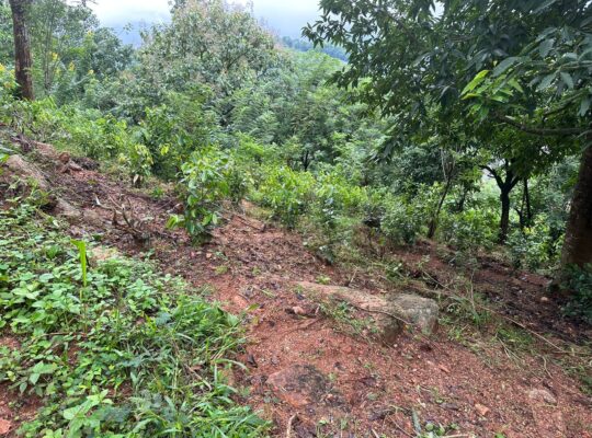 23 Acres Land in Matale