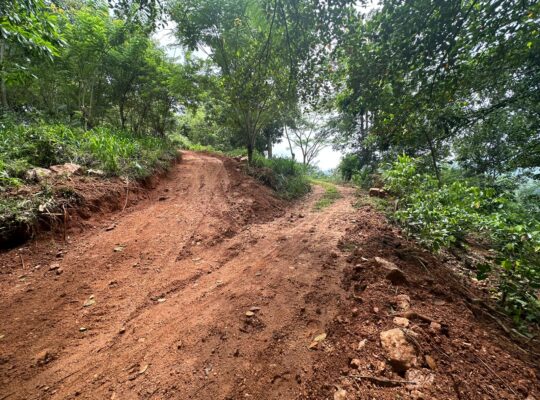 23 Acres Land in Matale