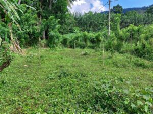 Land for sale in Menikdiwala Poththapitiya