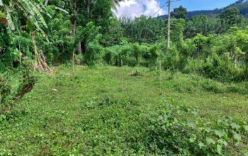 Land for sale in Menikdiwala Poththapitiya