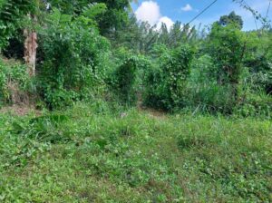 Land for sale in Hindagala Kandy