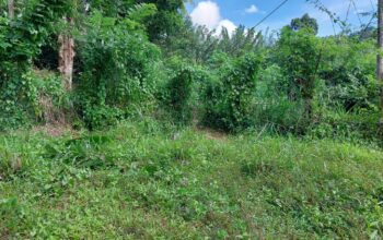 Land for sale in Hindagala Kandy