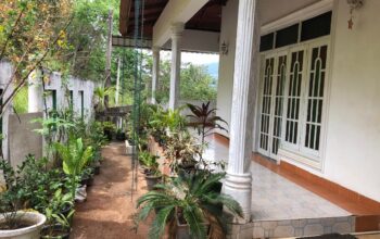 Luxury type house for sale in gelioya