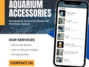 Aquarium Accessories