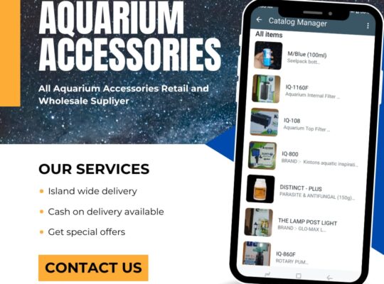 Aquarium Accessories