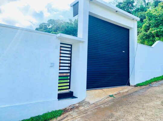 Brand new house for sale in Delgoda