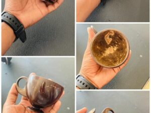 Coconut shell creative tea cup