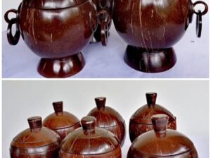 Coconut shell creative handmade pots