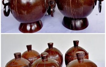 Coconut shell creative handmade pots