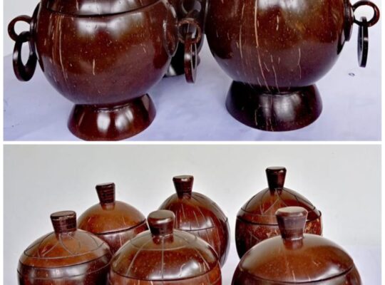 Coconut shell creative handmade pots