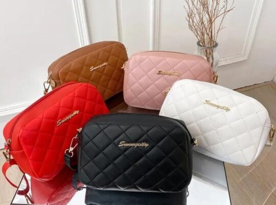 Ladies handbags