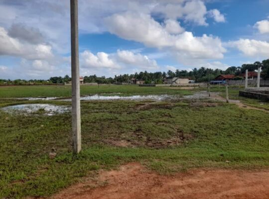 Land For Sale in Kinniya