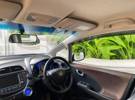 Honda Fit Shuttle GP2 2013