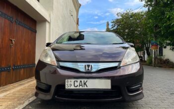 Honda Fit Shuttle GP2 2013